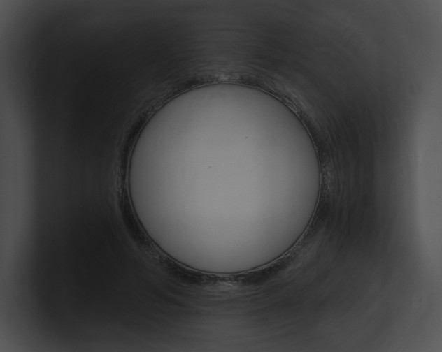 X0000101160594200806270734