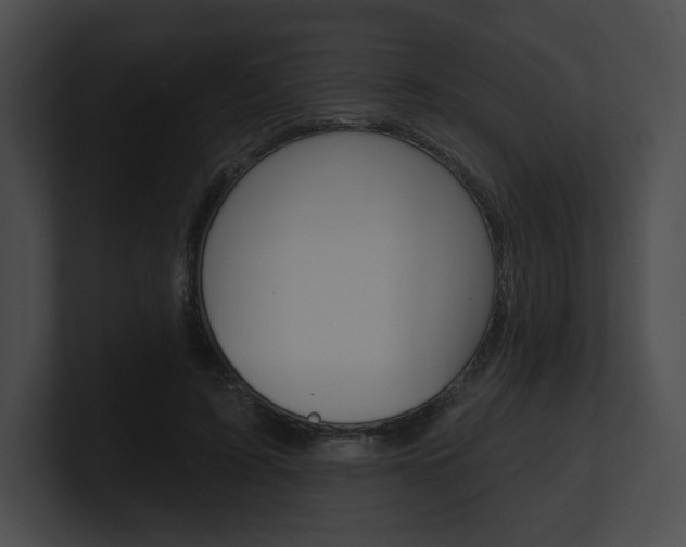 X0000101160595200806270734