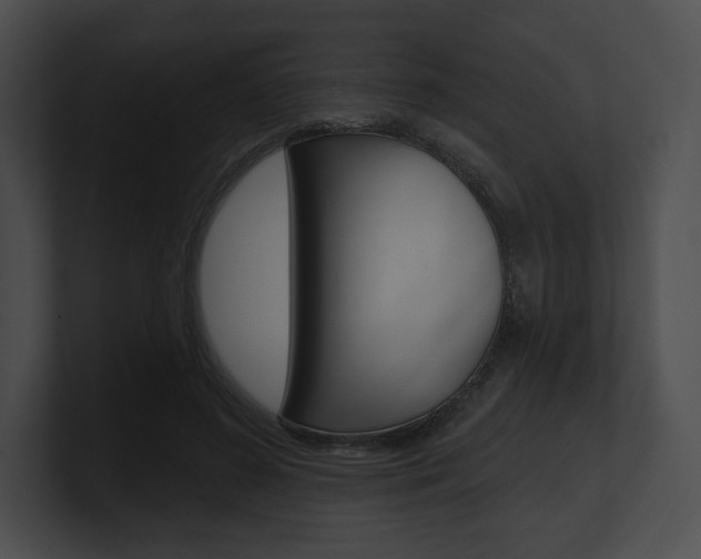 X0000101160596200806270734