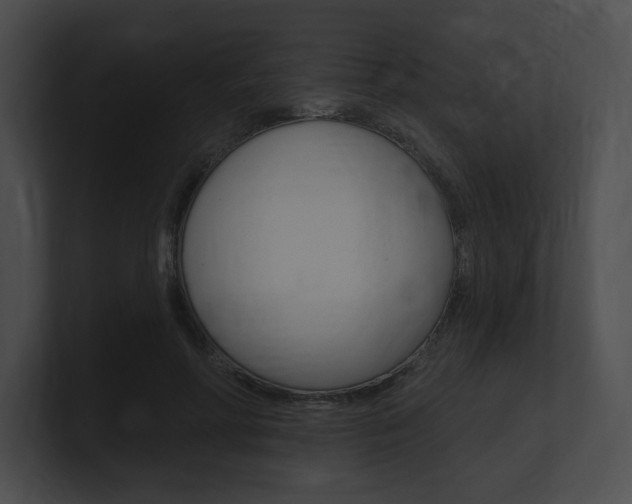 X0000101160598200806270734