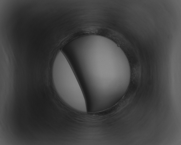 X0000101160600200806270734