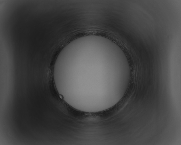 X0000101160601200806270734