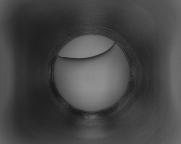 X0000101160602200806270734