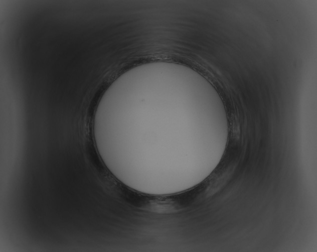 X0000101160603200806270734