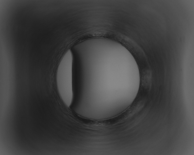X0000101160604200806270734