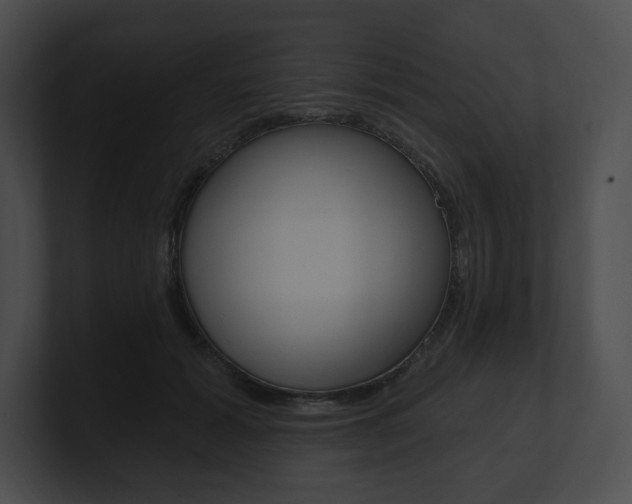 X0000101160605200806270734