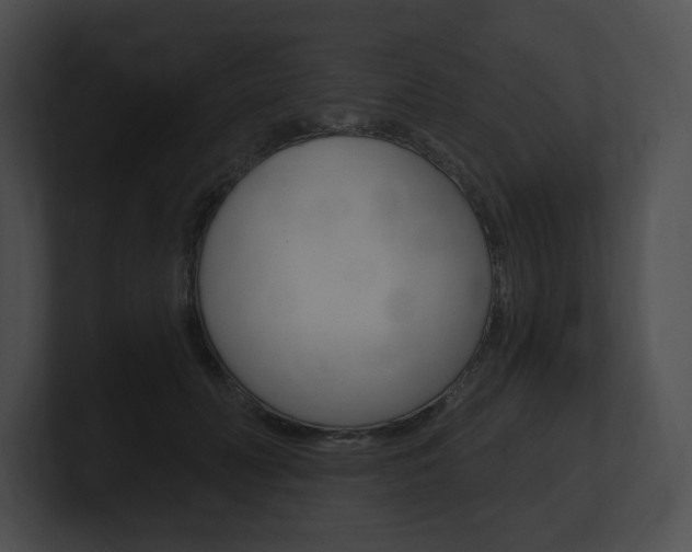X0000101160606200806270734