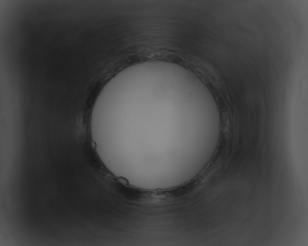 X0000101160607200806270734