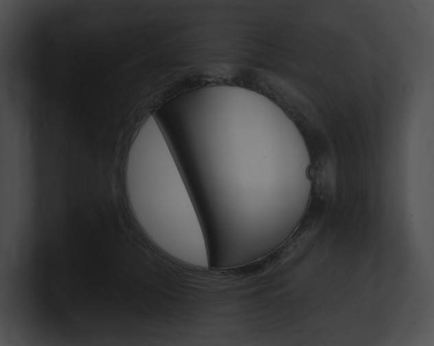 X0000101160608200806270734