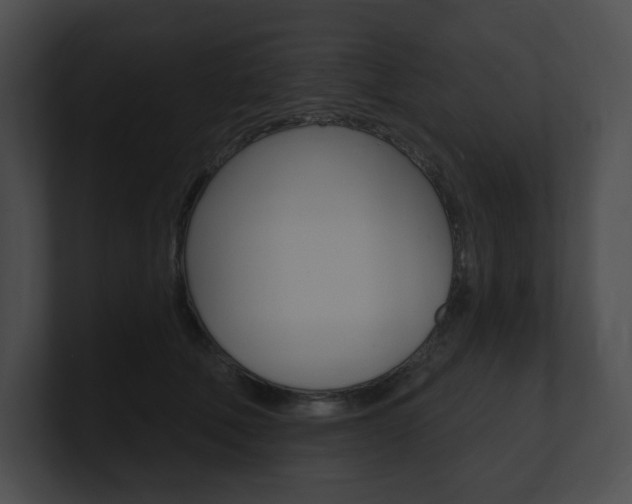 X0000101160610200806270734