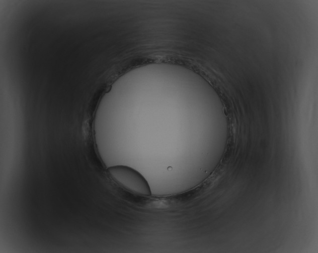 X0000101160611200806270734