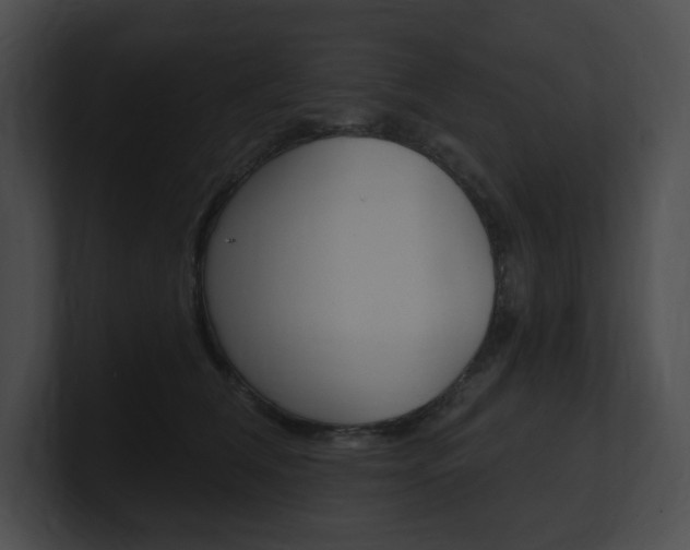 X0000101160612200806270734