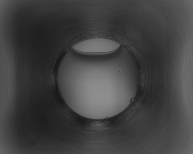 X0000101160613200806270734