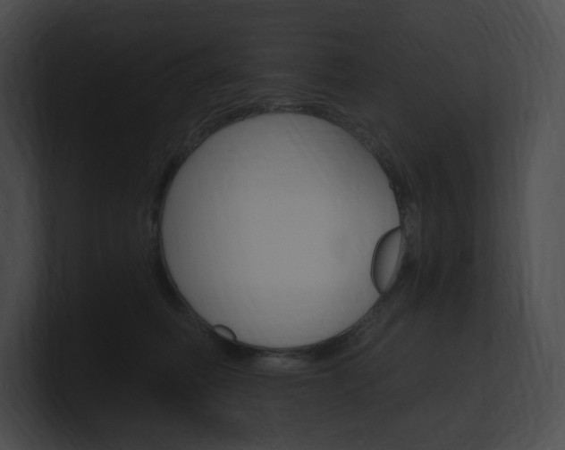 X0000101160614200806270734