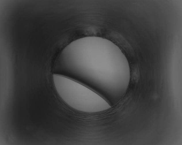 X0000101160616200806270734