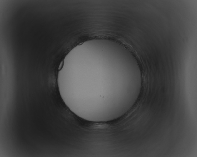 X0000101160617200806270734