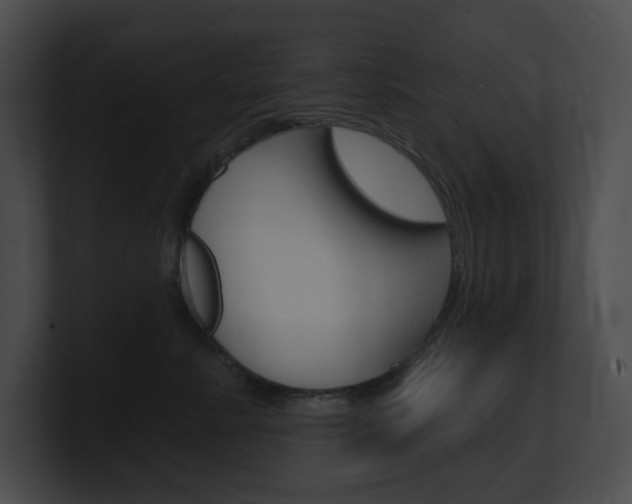 X0000101160619200806270734