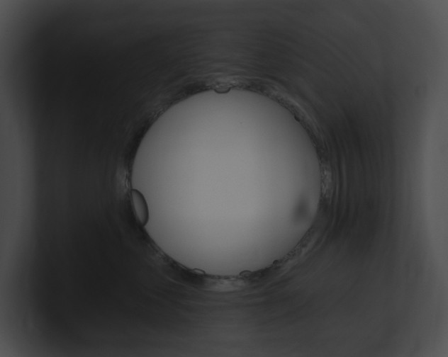 X0000101160621200806270734