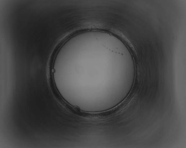 X0000101160629200806270733