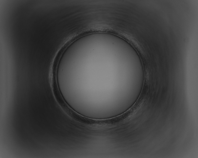 X0000101160630200806270733