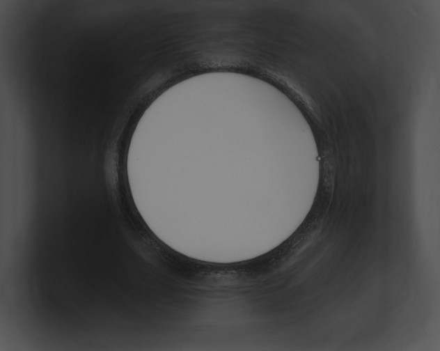 X0000101160631200806270733
