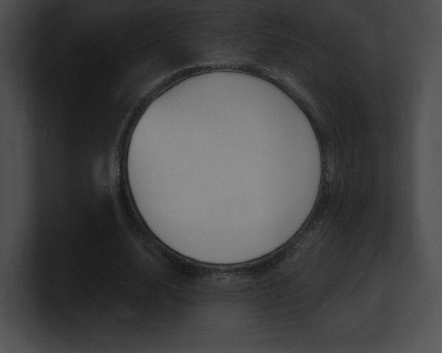 X0000101160632200806270733