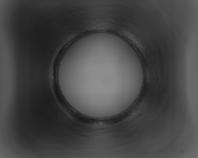X0000101160634200806270733