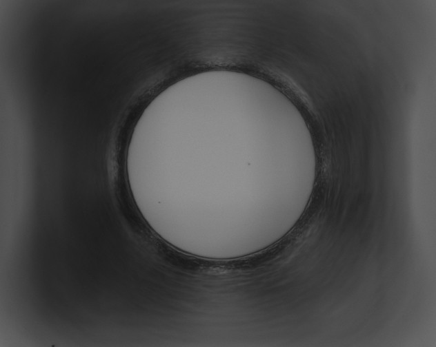 X0000101160635200806270733