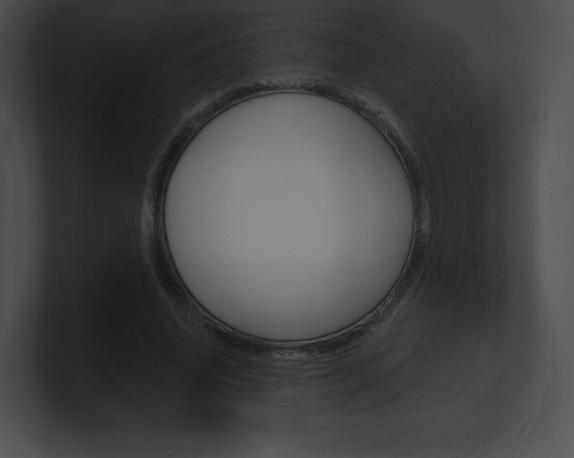 X0000101160636200806270733