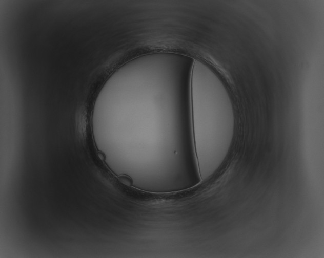 X0000101160637200806270733