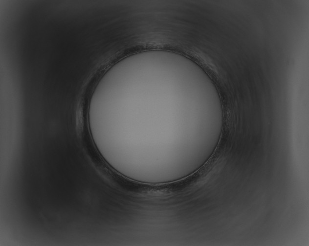 X0000101160638200806270733