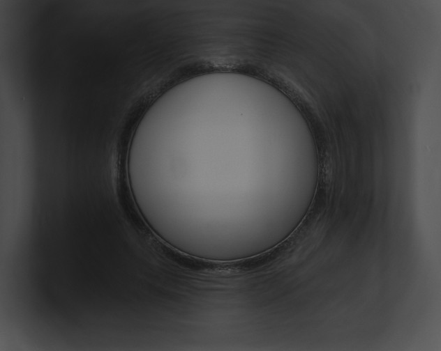 X0000101160639200806270733
