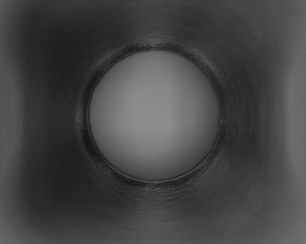 X0000101160640200806270733