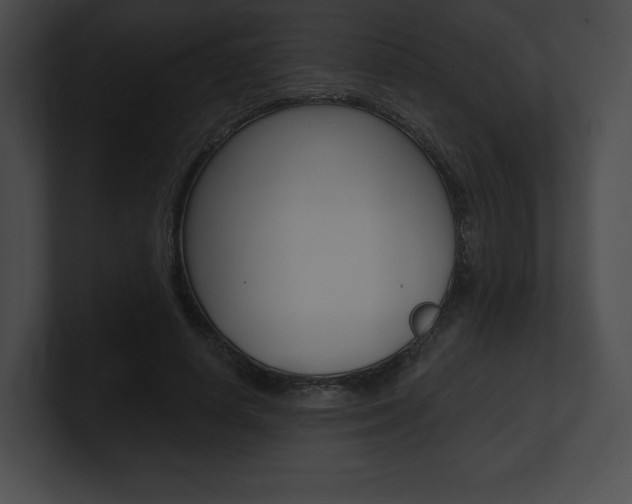 X0000101160642200806270733
