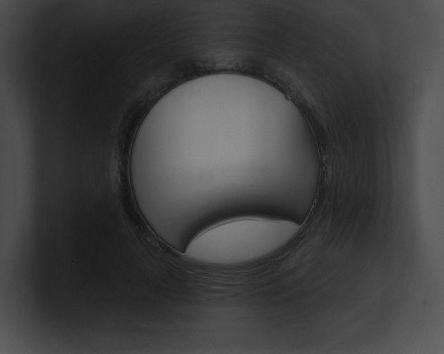 X0000101160643200806270733