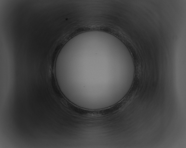 X0000101160644200806270733