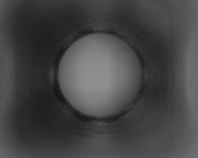 X0000101160648200806270733