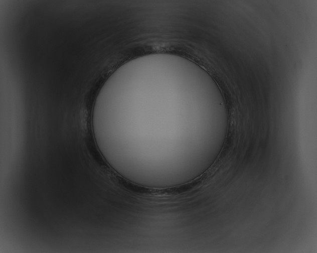X0000101160650200806270733