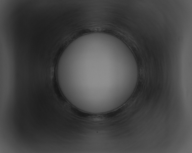 X0000101160652200806270733