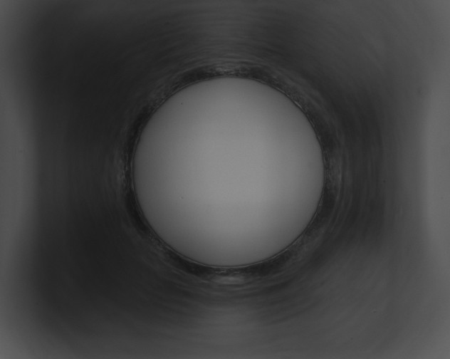 X0000101160653200806270733