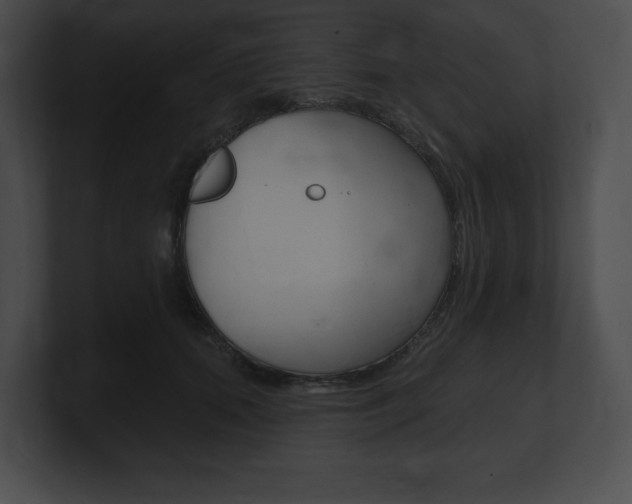 X0000101160655200806270733