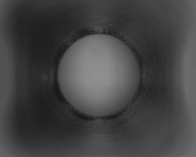 X0000101160656200806270733