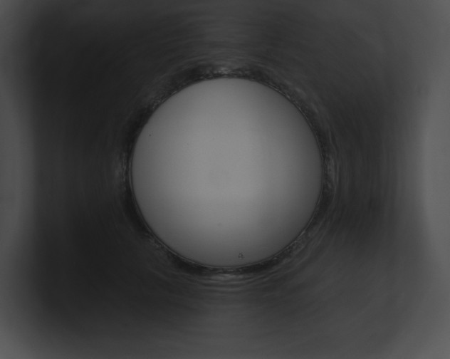 X0000101160657200806270733