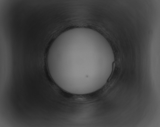 X0000101160658200806270733