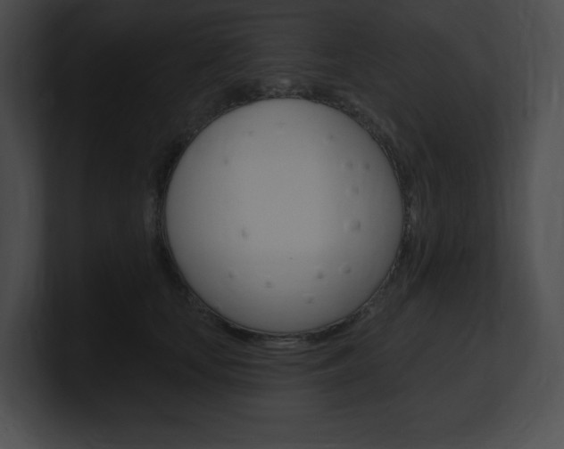X0000101160659200806270733