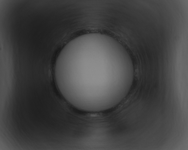 X0000101160662200806270733