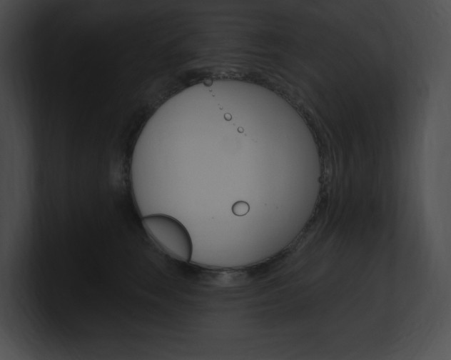 X0000101160663200806270734