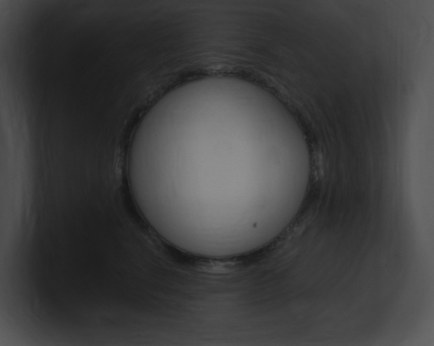 X0000101160664200806270734