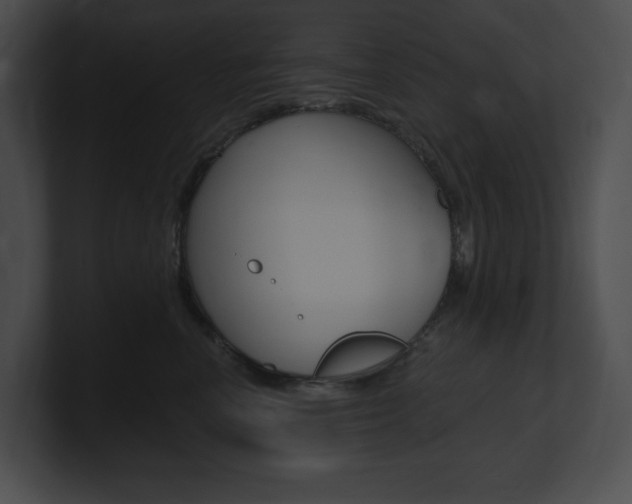 X0000101160666200806270734