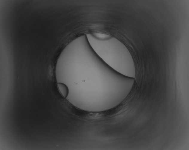 X0000101160667200806270734